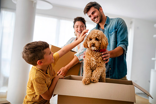 A family joyfully moves into their new house, with a dog excitedly exploring the yard and boxes scattered around.